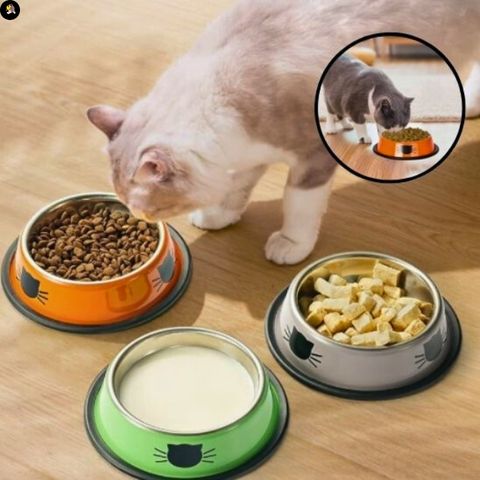 gamelle-chat-petit-chat-inox-resistant