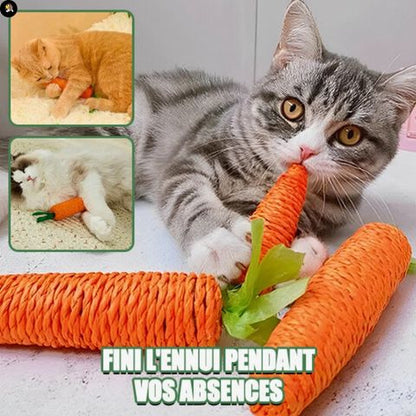 jeu-pour-chat-carotte-instinct