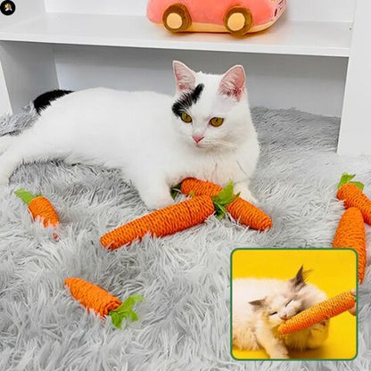 jeu-pour-chat-carotte-physique