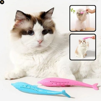 Jeu pour chat - Dauphin