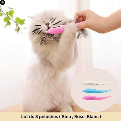 jeu-pour-chat-dauphin-lot-3