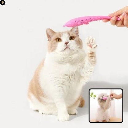 Jeu pour chat - Dauphin