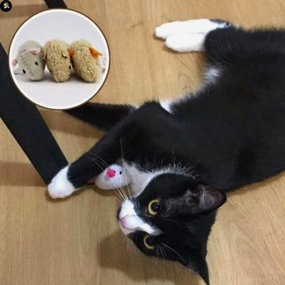 jeu-pour-chat-souris-intense