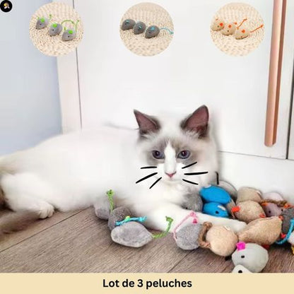 jeu-pour-chat-souris-lots-03