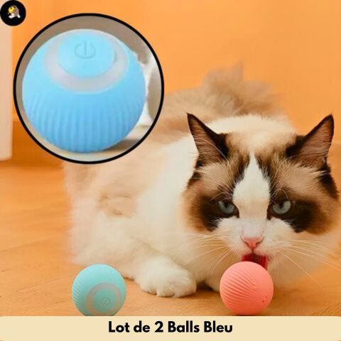 jouet-pour-chat-balle-bleu