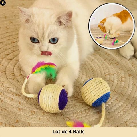 jouet-pour-chat-balle-gratter-lot-4