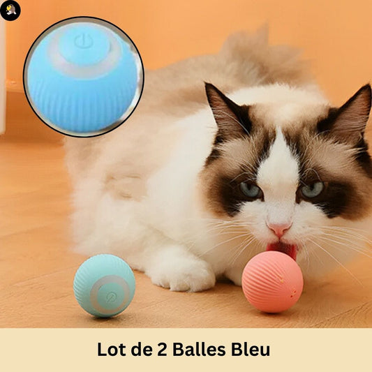 jouet-pour-chat-balle-Intelligente-bleu