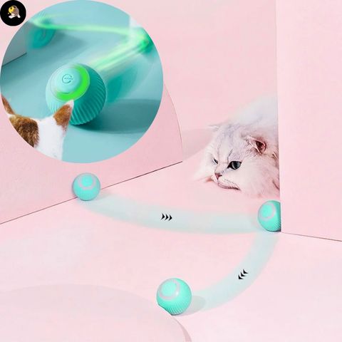 jouet-pour-chat-360