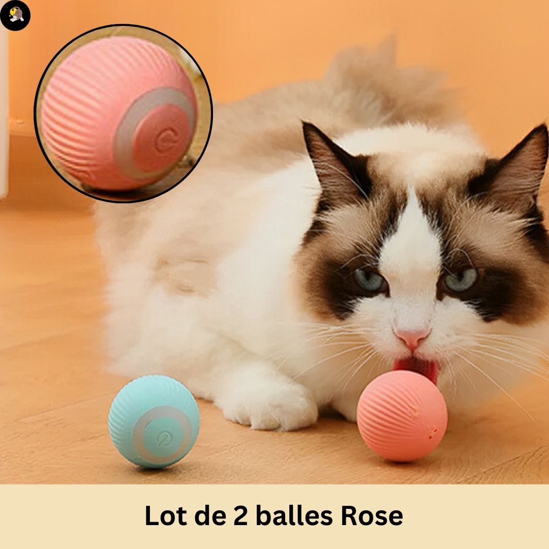 jouet-pour-chat-balle-Intelligente-rose