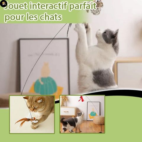 jouet-pour-chat-divertissement