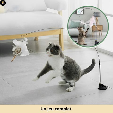 jouet-pour-chat-heureux-brun