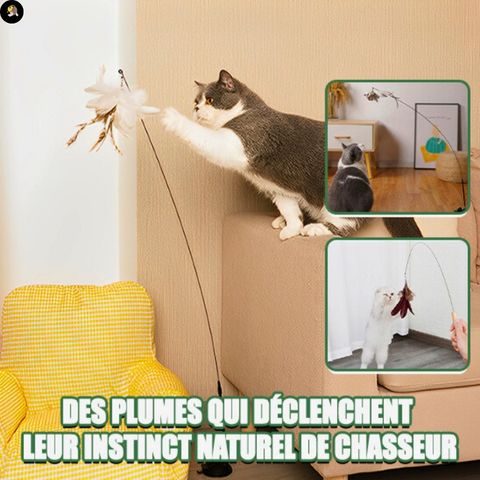 jouet-pour-chat-plume