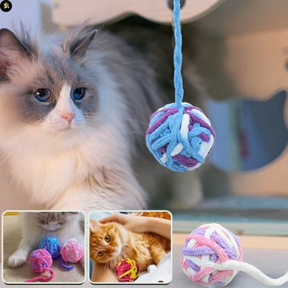 jouets-pour-chats-Balle-interactive-complicite