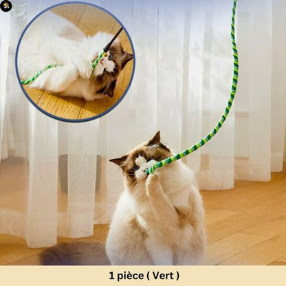jouets-pour-chats-baguette-1-piece