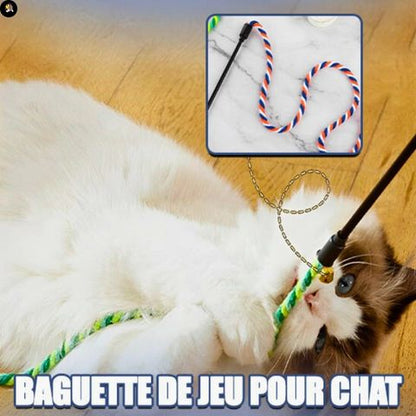 jouets-pour-chats-baguette-jeu
