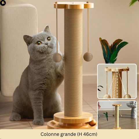 jouets pour chats - Colonne à gratter