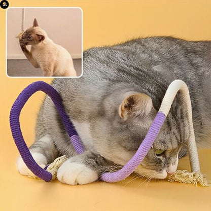 jouets-pour-chats-corde-de-morsure-comportement