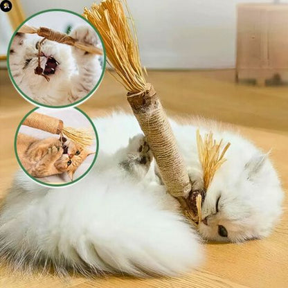 jouets-pour-les-chats-baton-cool
