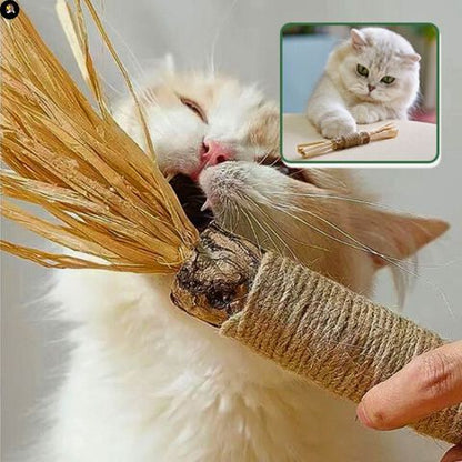 jouets-pour-les-chats-baton-dentaire