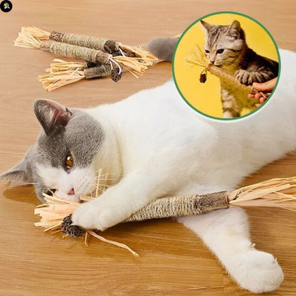 jouets-pour-les-chats-baton-digestion