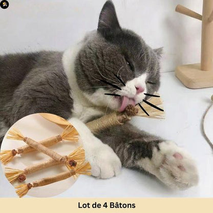 jouets-pour-les-chats-baton-lot-4