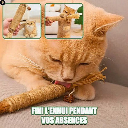 jouets-pour-les-chats-baton-stimule
