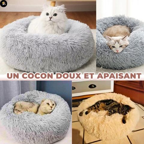 NIDLIT™║Coussin Anti Stress - LesChats-Amuseur